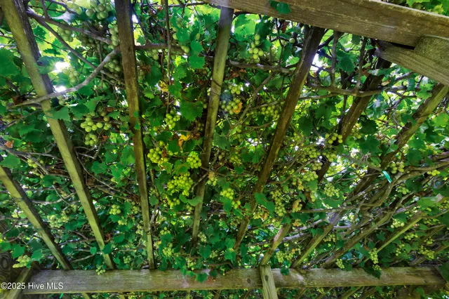 $435,000 | 497 Hardison Drive, Minnesott Beach, NC 28510