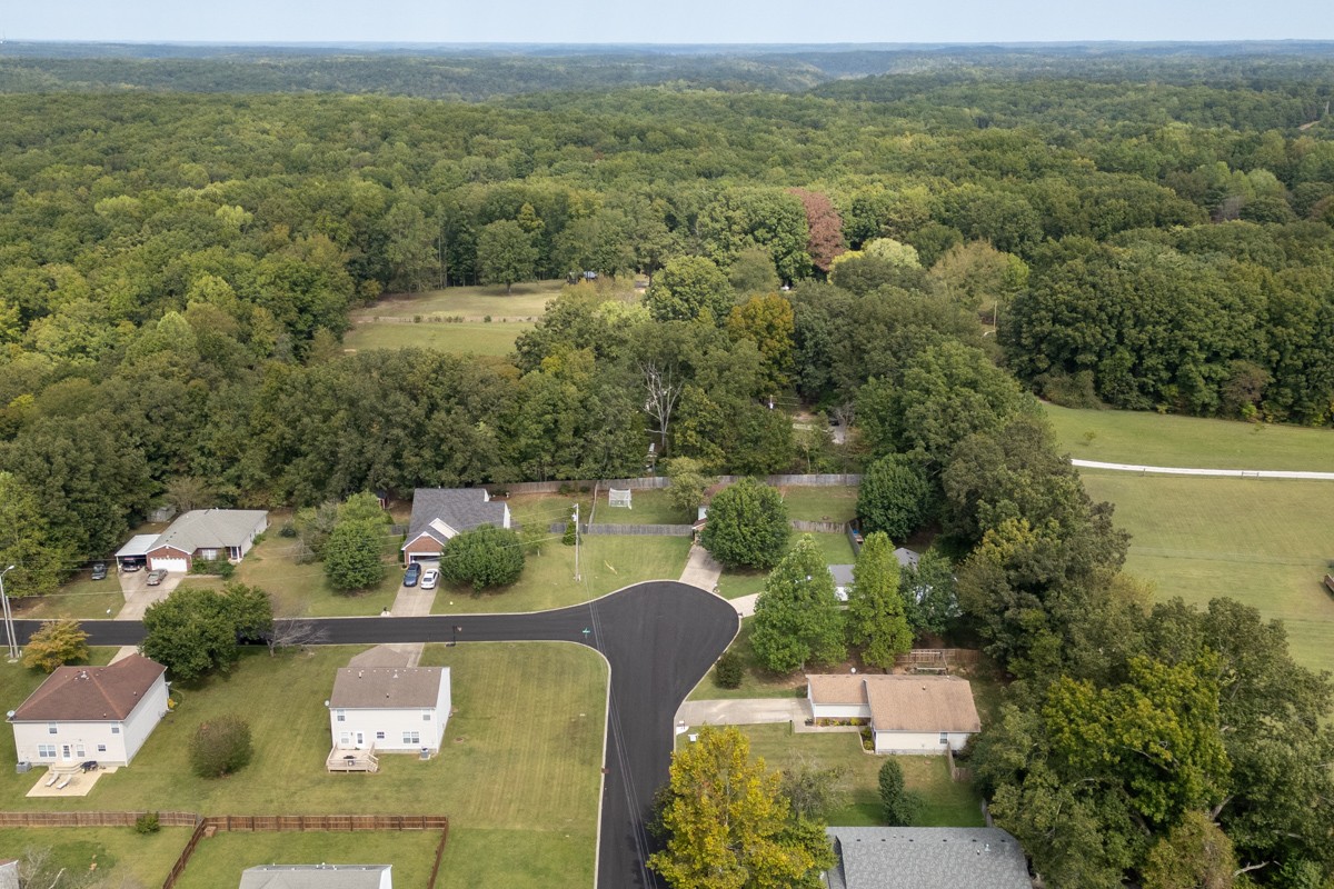 7226 Hidden Lake Drive Fairview, TN 37062 - Photo 47 of 54 an aerial view of a house with lake view