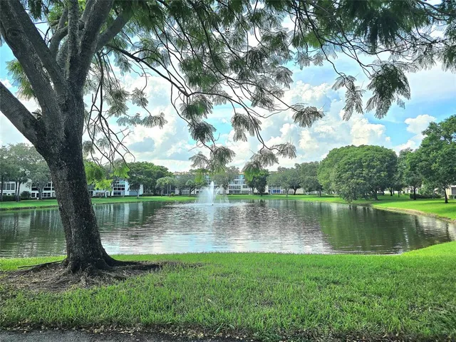 a view of a lake with a tree