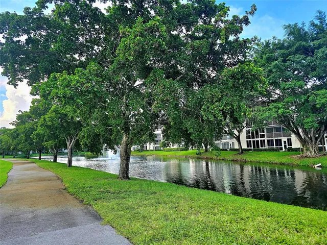 a view of a park with large trees