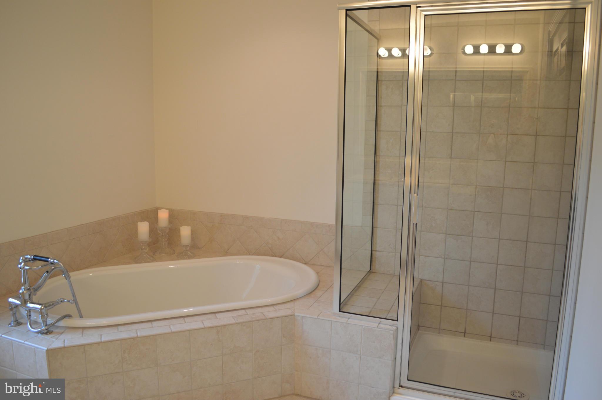 2015 Hughes Shop Road Westminster, MD 21158 - Photo 18 of 30 Soaking tub and separate shower