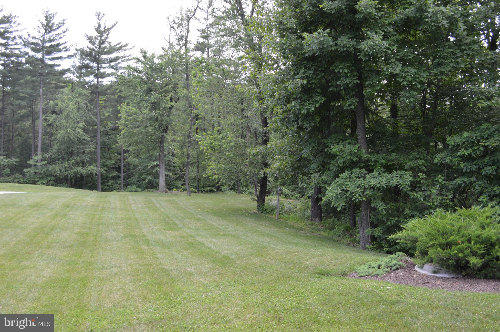 2015 Hughes Shop Road Westminster, MD 21158 - Photo 4 of 30 View from the front porch
