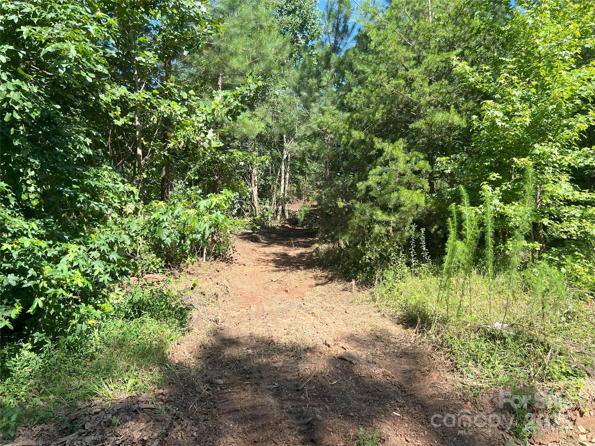 0 Irvin Road Ellenboro, NC 28040 - Photo 11 of 29 Gallery Image 11