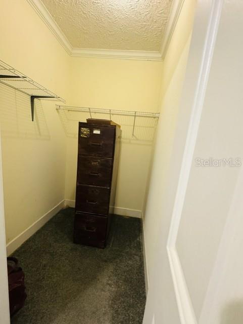 11817 Southwest 58th Street Webster, FL 33597 - Photo 27 of 46 a view of walk in closet
