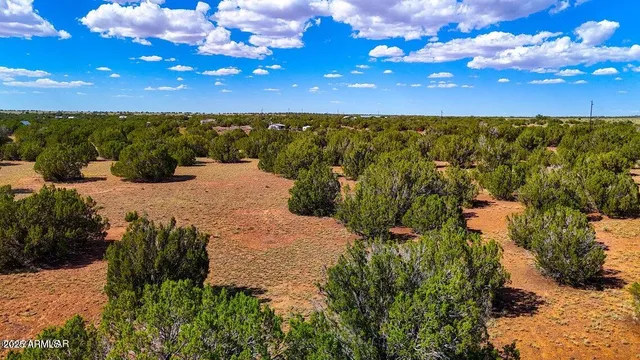 $25,000 | 8730 Coronado Drive, Show Low, AZ 85901