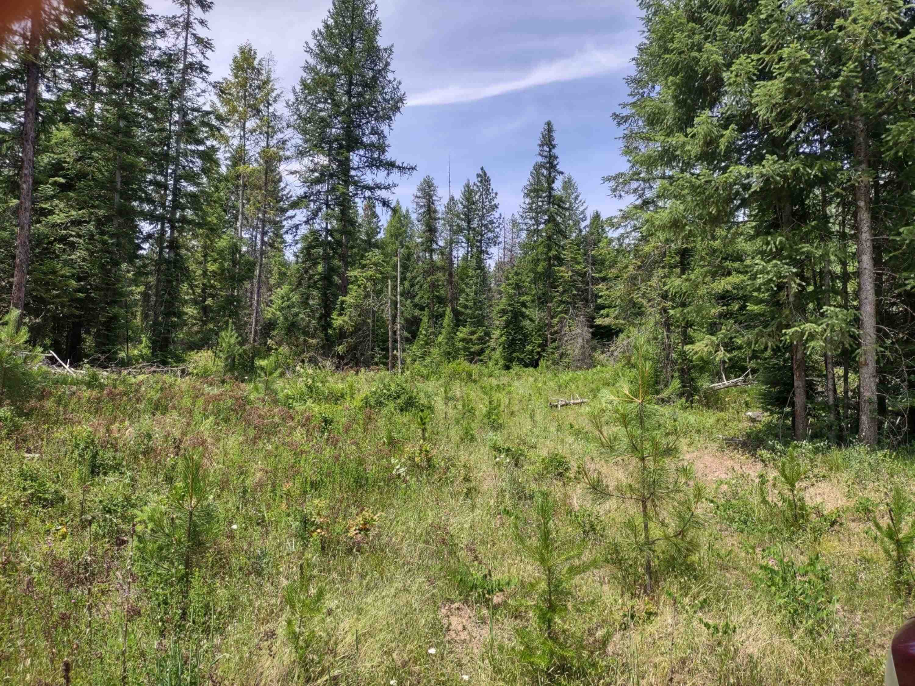 Xx Springdale-Hunters Road Springdale, WA 99173 - Photo 10 of 23