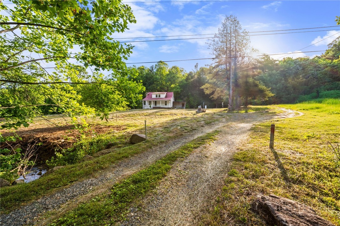 a view of a yard with an tree