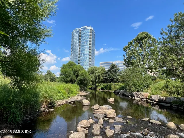 a view of a lake with a city view