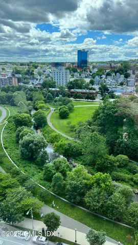 a view of a big yard with large trees