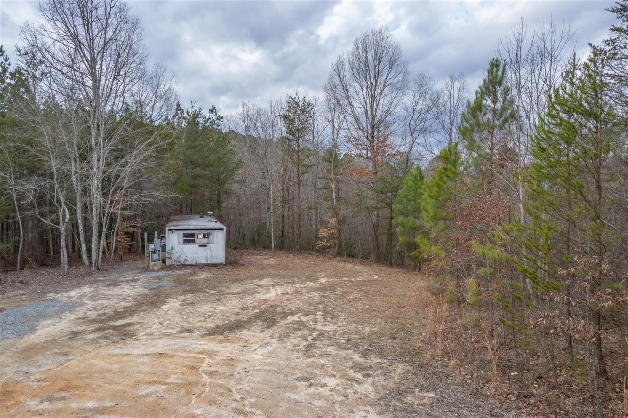 200 Clark Road Rutherfordton, NC 28139 - Photo 16 of 33 a view of a trees in a yard