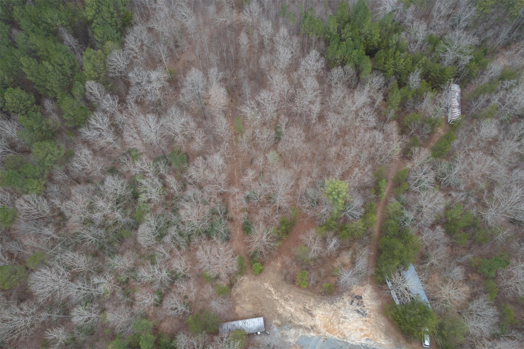200 Clark Road Rutherfordton, NC 28139 - Photo 25 of 33