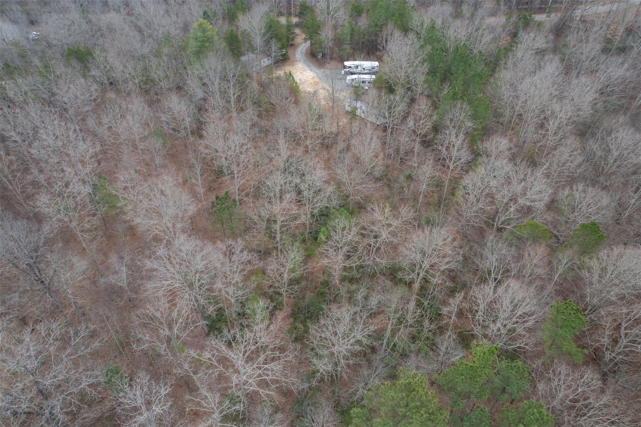 200 Clark Road Rutherfordton, NC 28139 - Photo 30 of 33 a view of a yard with a tree