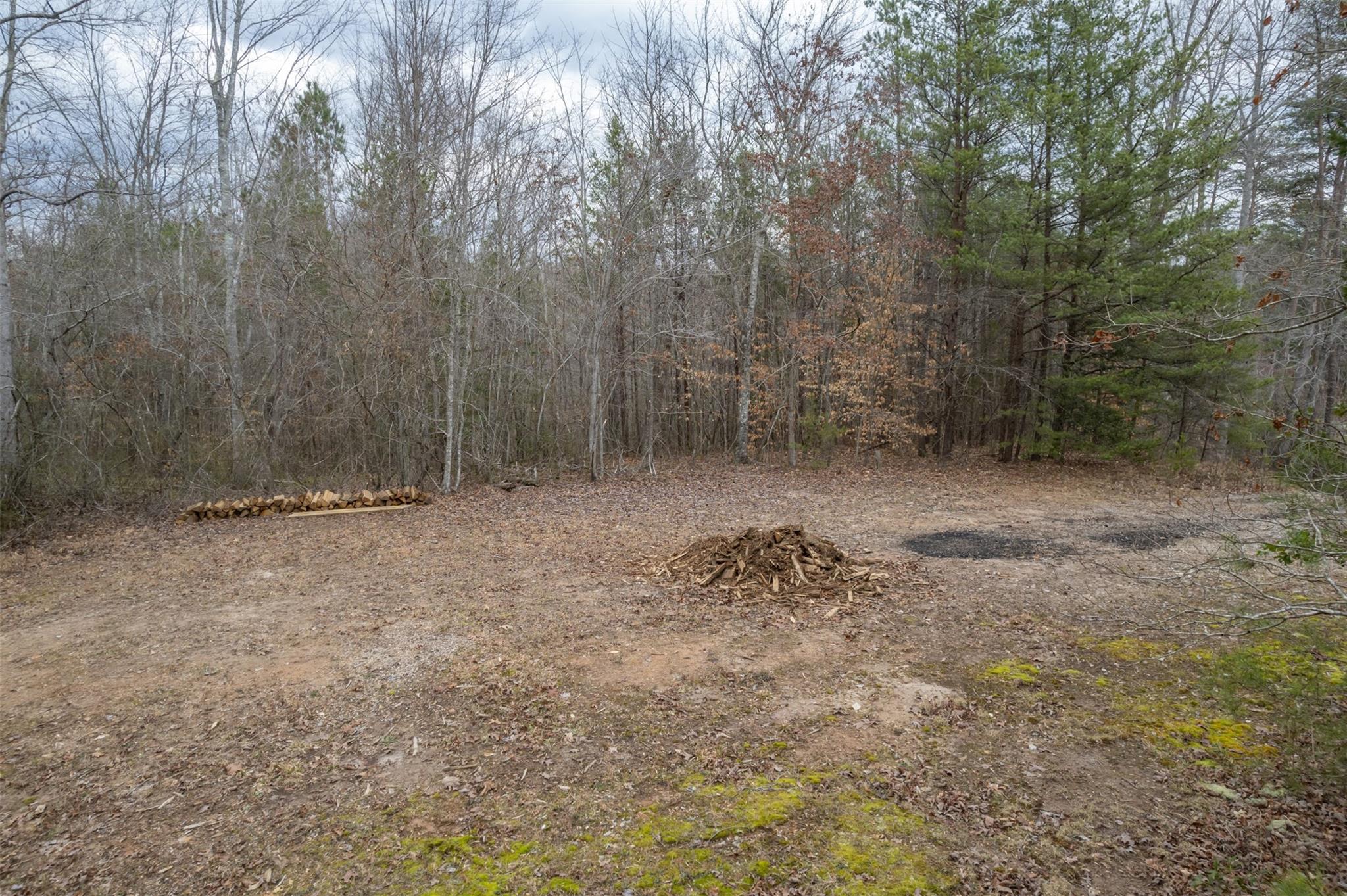 200 Clark Road Rutherfordton, NC 28139 - Photo 5 of 33 a view of a covered with trees in the background
