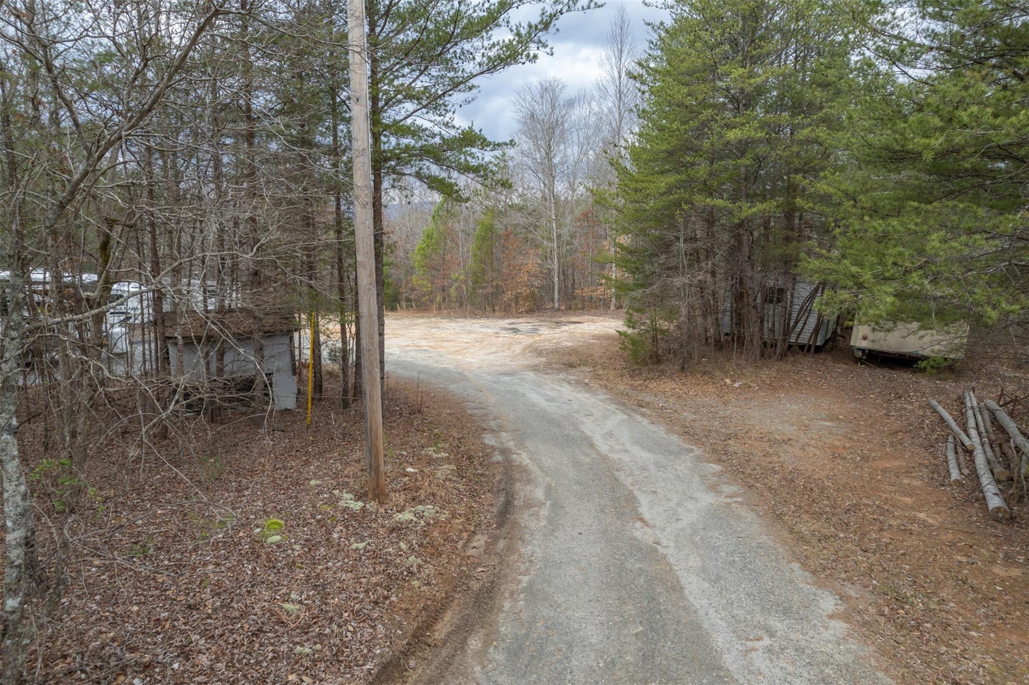200 Clark Road Rutherfordton, NC 28139 - Photo 6 of 33 a view of a forest with trees
