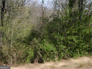 1109 Dixon Bridge Road Maysville, GA 30558 - Photo 15 of 15