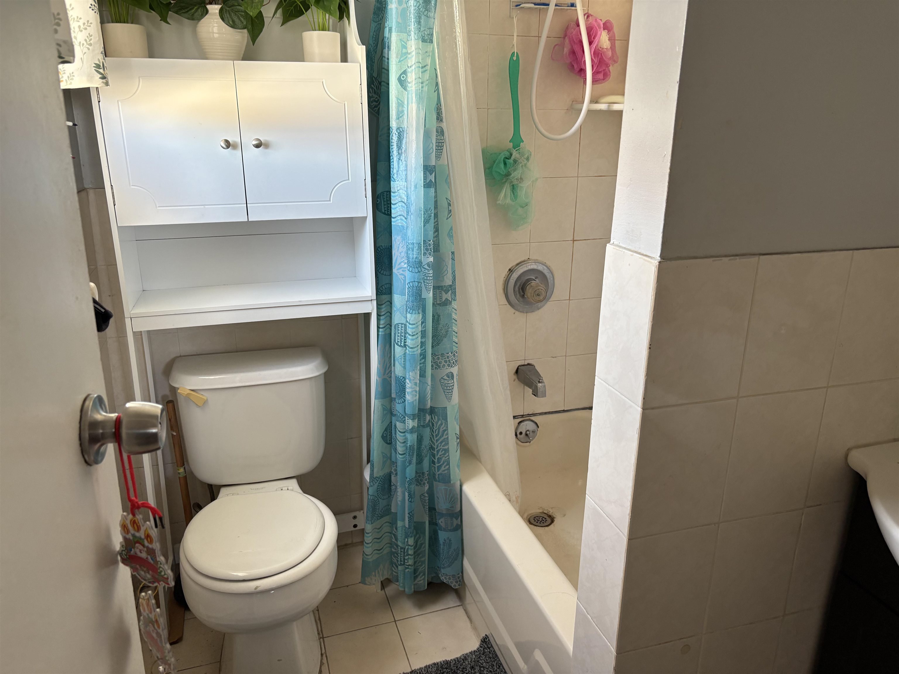 33 Emerson Avenue, Unit 5 Jersey City, NJ 07306 - Photo 6 of 8 a bathroom with a sink and toilet