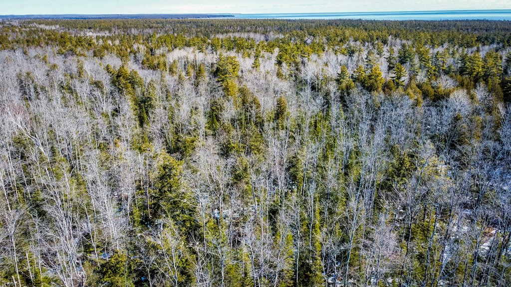 County Road Baileys Harbor, WI 54202 - Photo 5 of 11