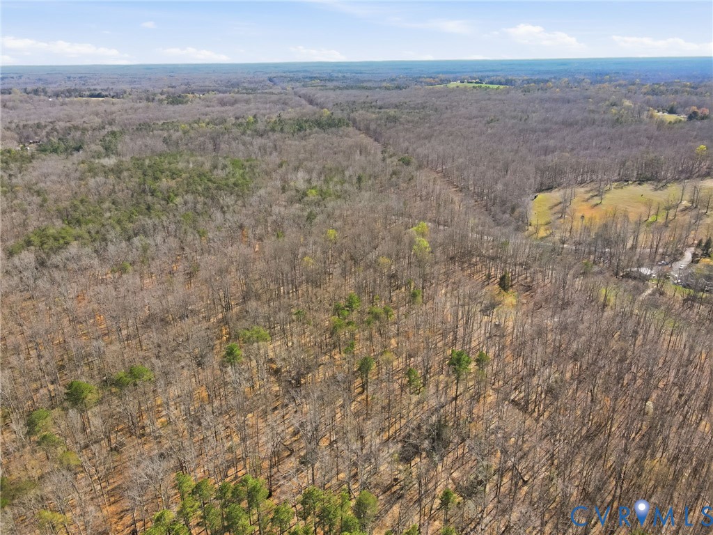 16391 Gun Barrel Road Montpelier, VA 23192 - Photo 12 of 13