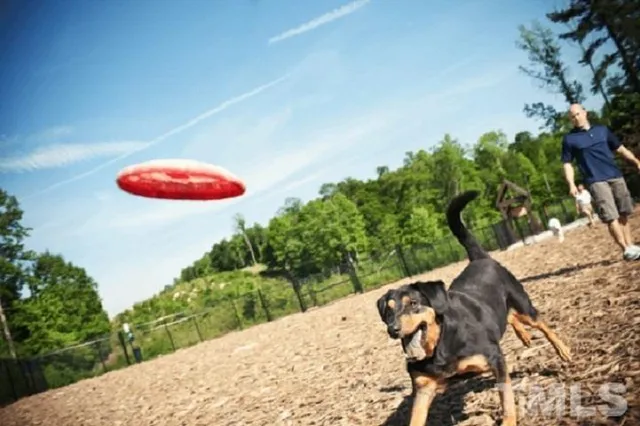 a group of people sitting in roof of a house
