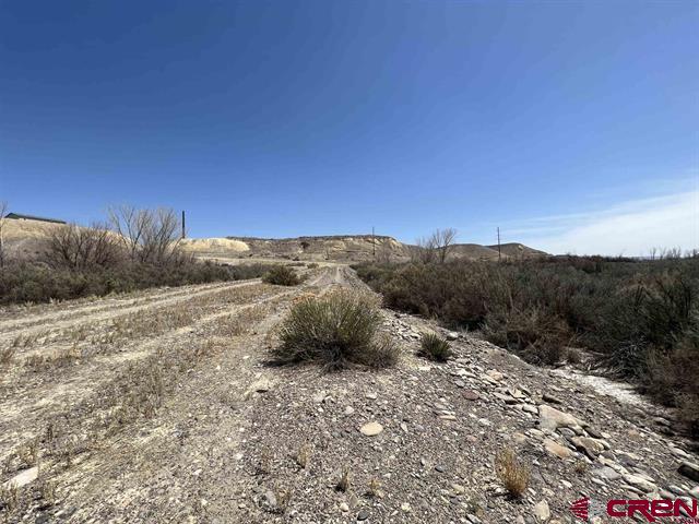 Tbd Tbd Moon Dance Delta, CO 81416 - Photo 11 of 13 a view of a dry yard with trees