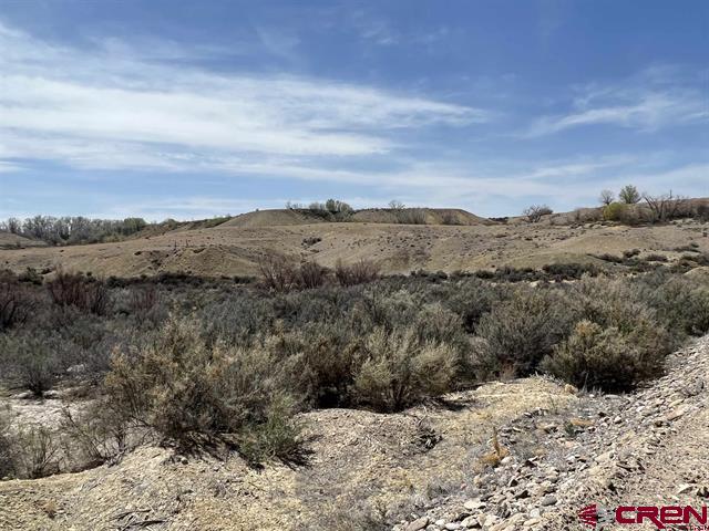 Tbd Tbd Moon Dance Delta, CO 81416 - Photo 2 of 13 a view of a dry yard
