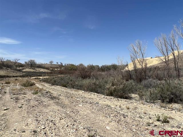 Tbd Tbd Moon Dance Delta, CO 81416 - Photo 3 of 13 a view of a dry yard with a mountain
