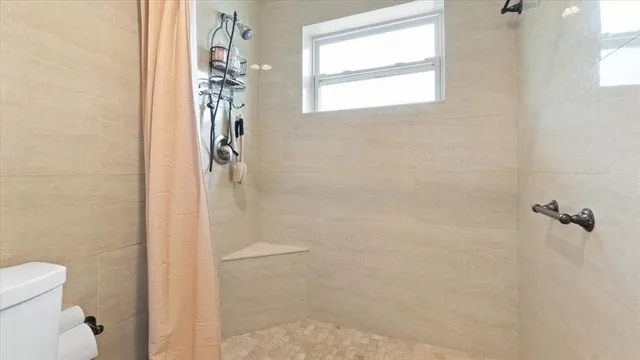 a bathroom with a shower and a toilet