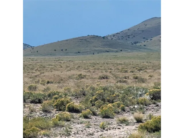 a view of a dry yard