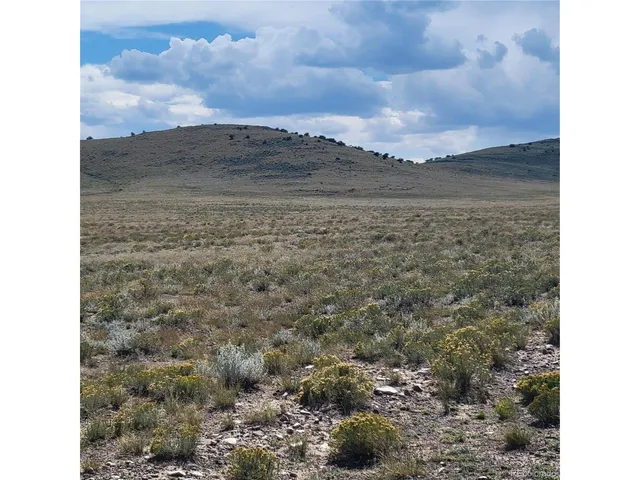 a view of a dry yard