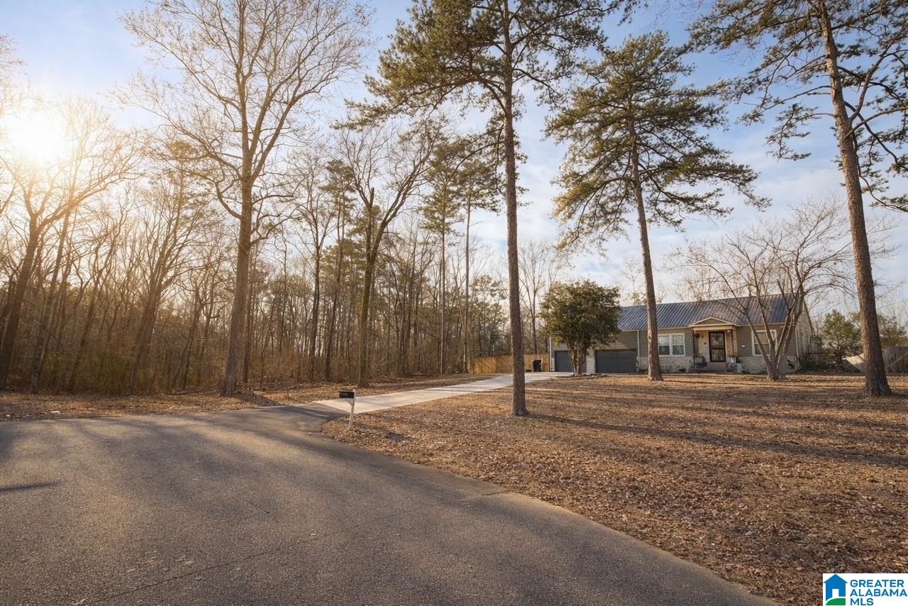 971 Westwood Road Mount Olive, AL 35117 - Photo 16 of 17