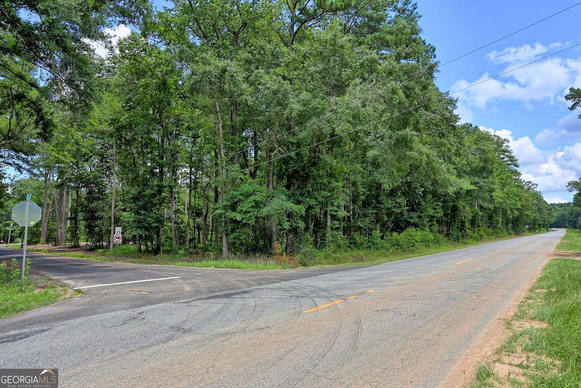293 Anza Lane Rincon, GA 31326 - Photo 33 of 33