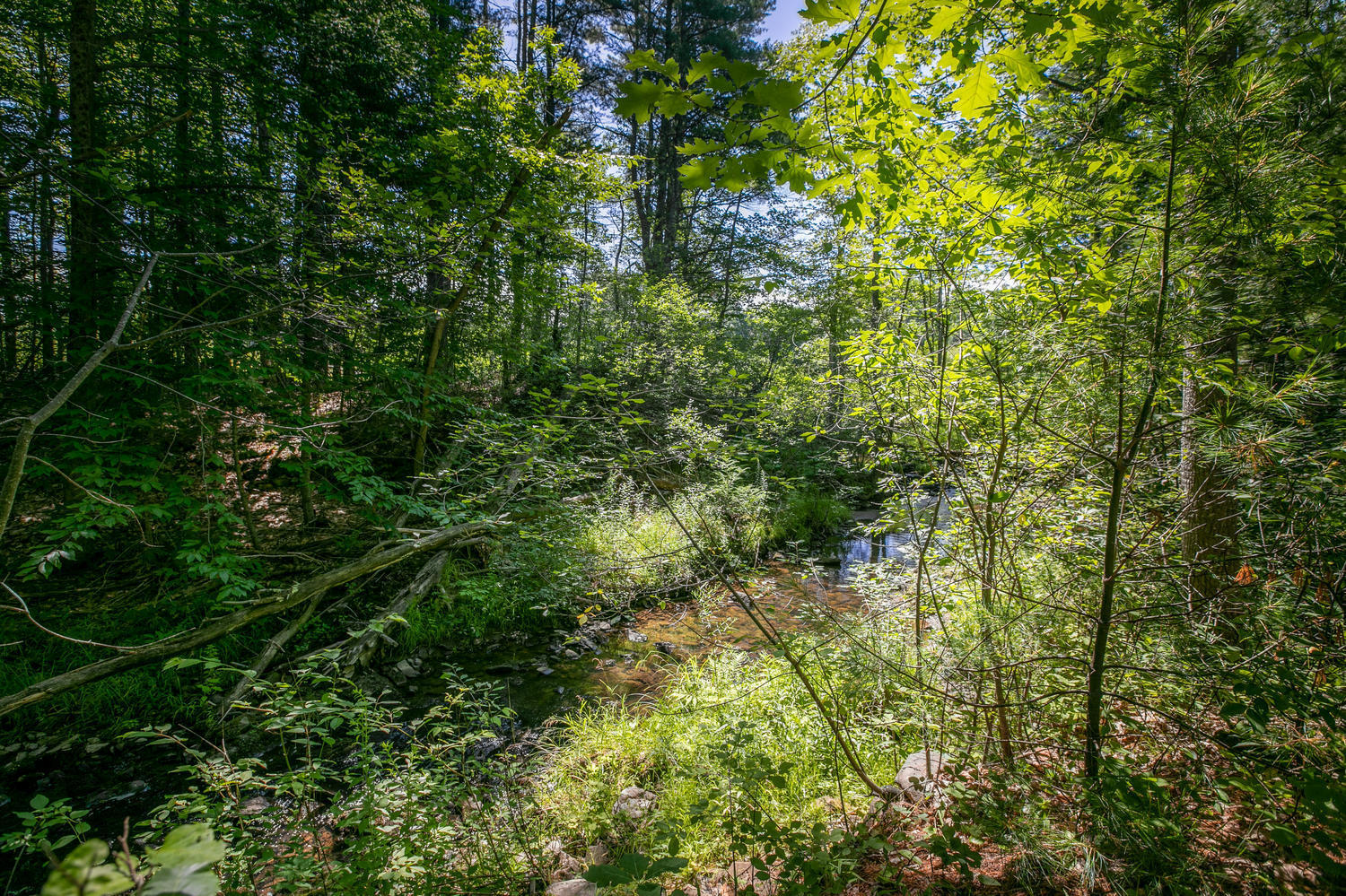 39 Brackett Road Gorham, ME 04038 - Photo 40 of 42 River
