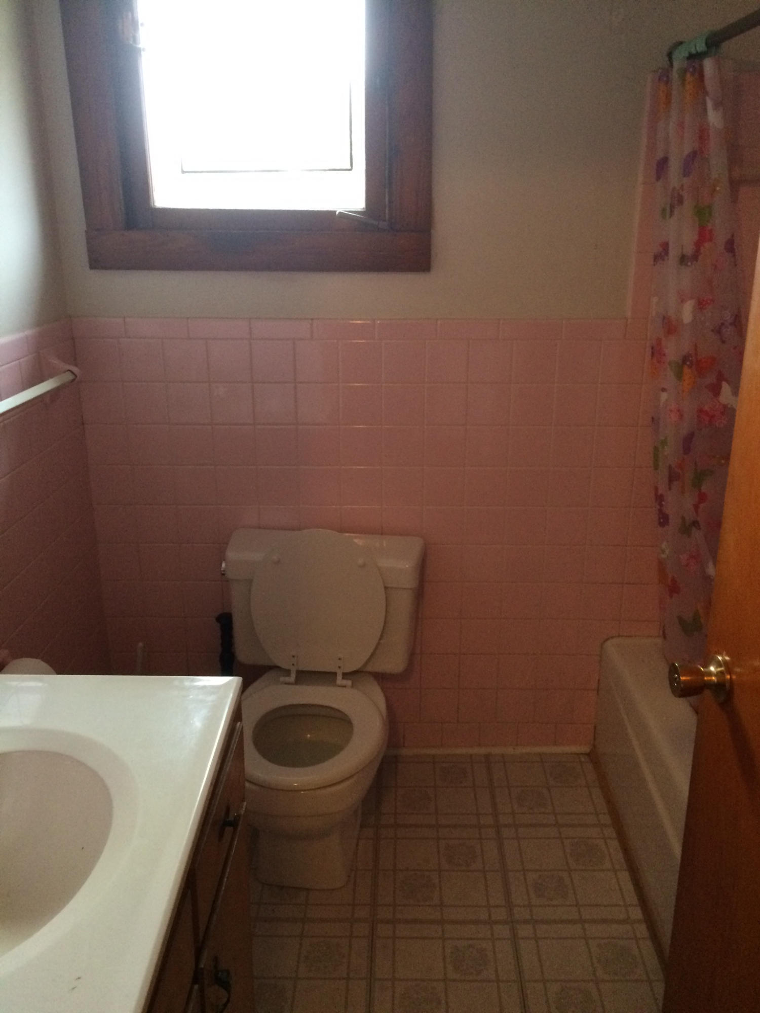 8301 Coppock Road Corryton, TN 37721 - Photo 11 of 14 Full bath