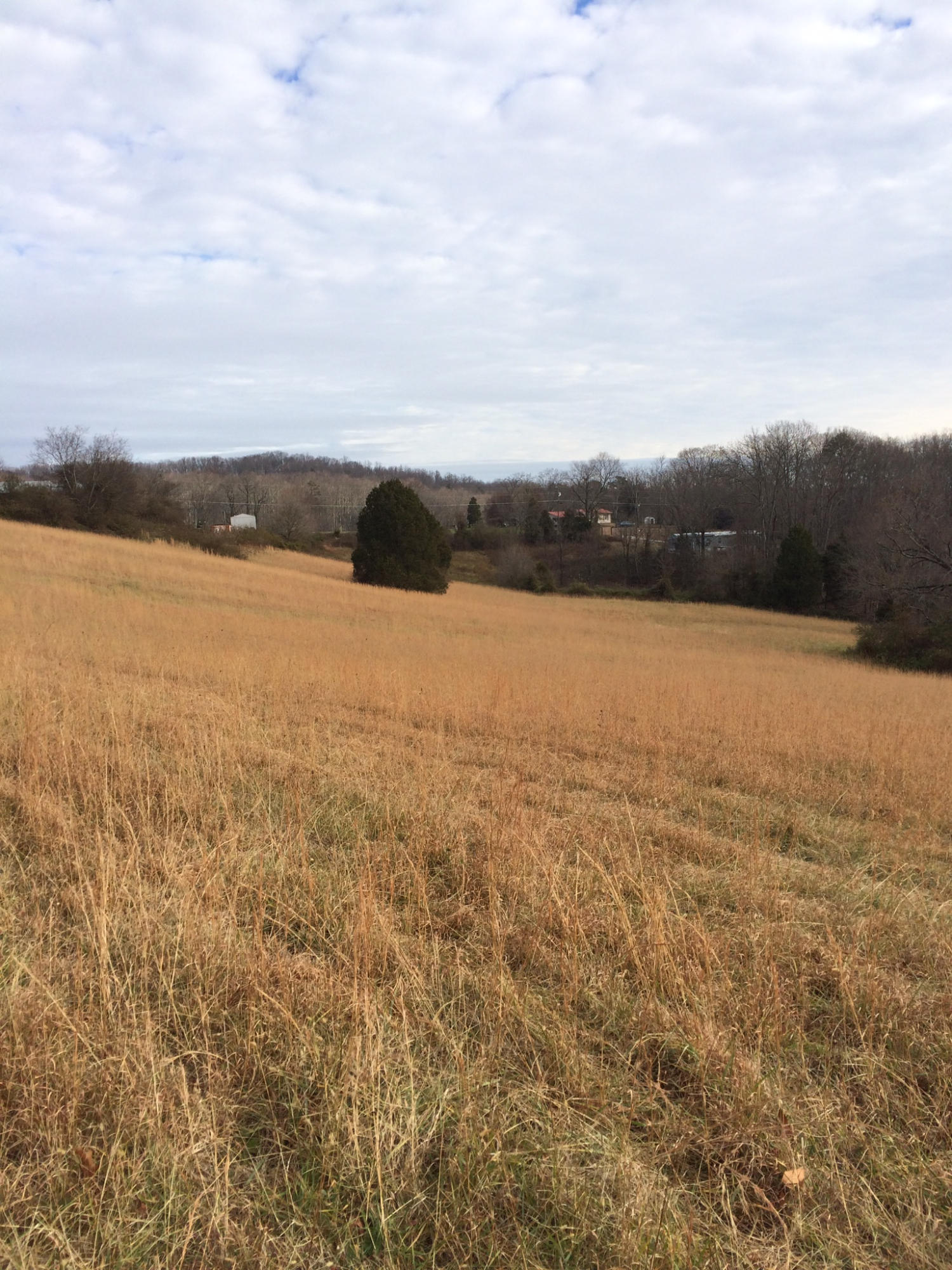 8301 Coppock Road Corryton, TN 37721 - Photo 7 of 14 Property view
