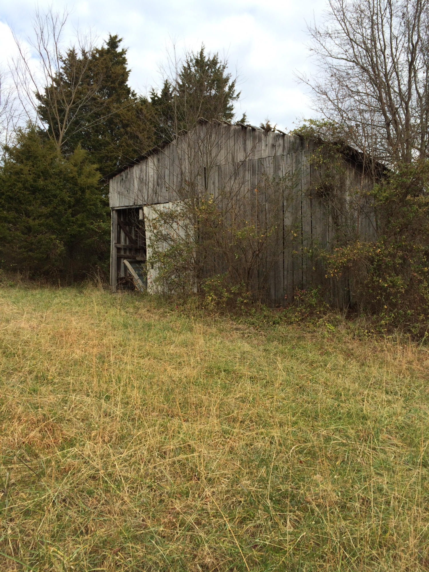 8301 Coppock Road Corryton, TN 37721 - Photo 8 of 14 Barn