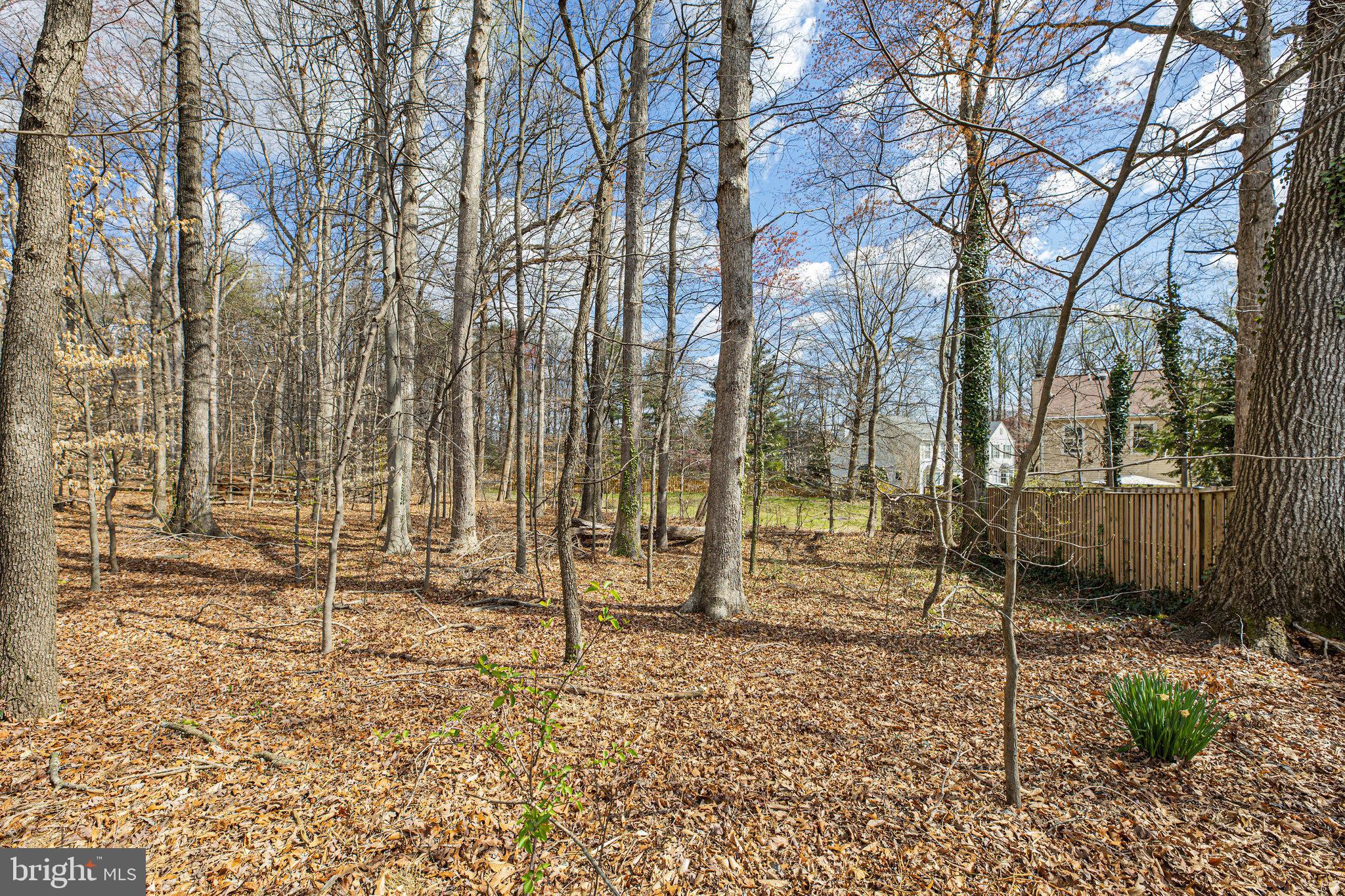 8470 Falling Leaf Road Springfield, VA 22153 - Photo 41 of 41 a backyard of a house with a trees