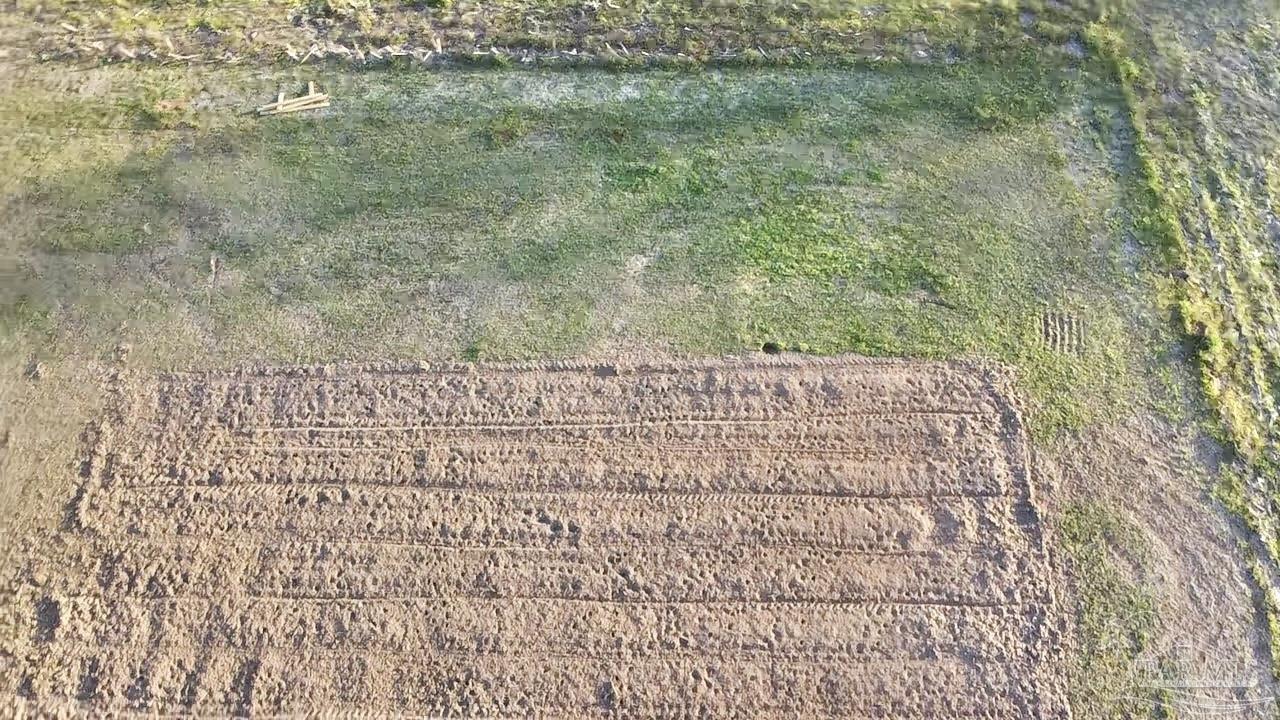 4075 Macks Road Century, FL 32535 - Photo 44 of 45 a bathroom with a shower