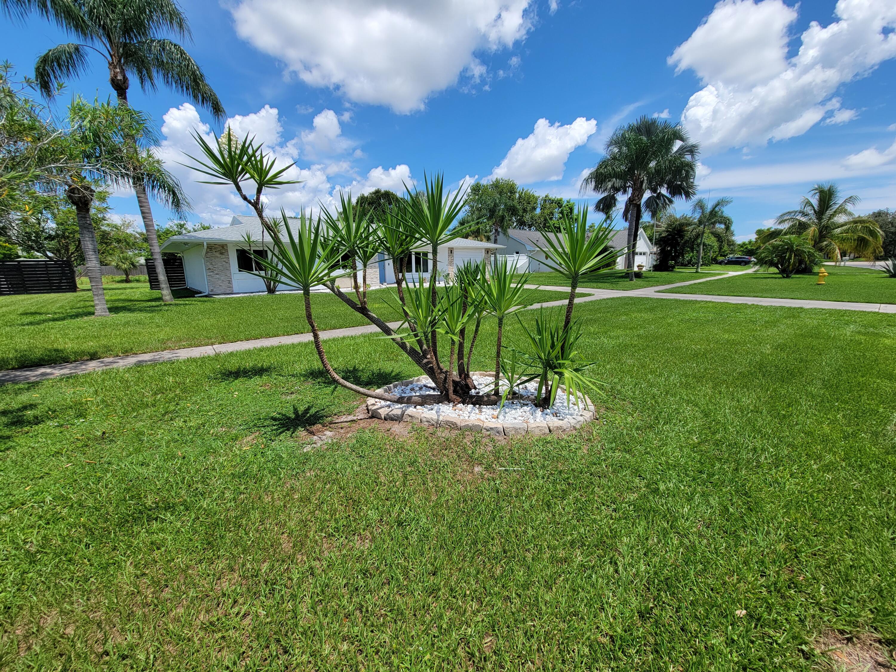 881 Riviera Drive Northeast Palm Bay, FL 32905 - Photo 24 of 35 Front Yard