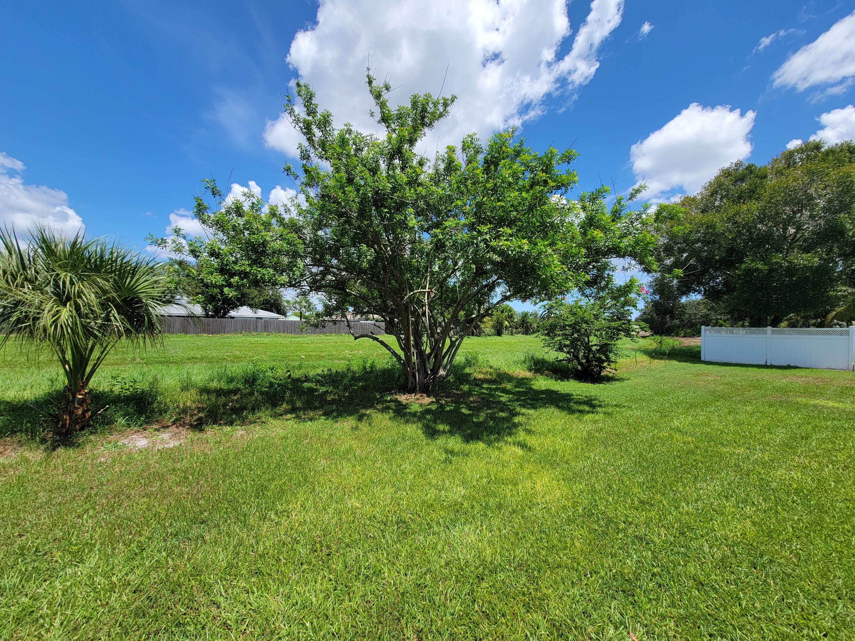 881 Riviera Drive Northeast Palm Bay, FL 32905 - Photo 28 of 35 Backyard