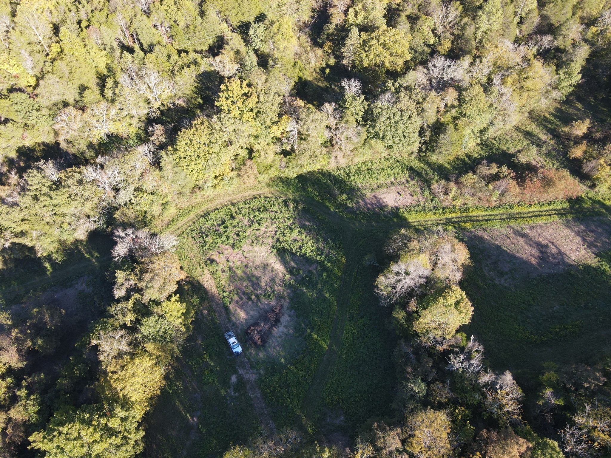 0 Cole Ridge Road Wartrace, TN 37183 - Photo 3 of 5