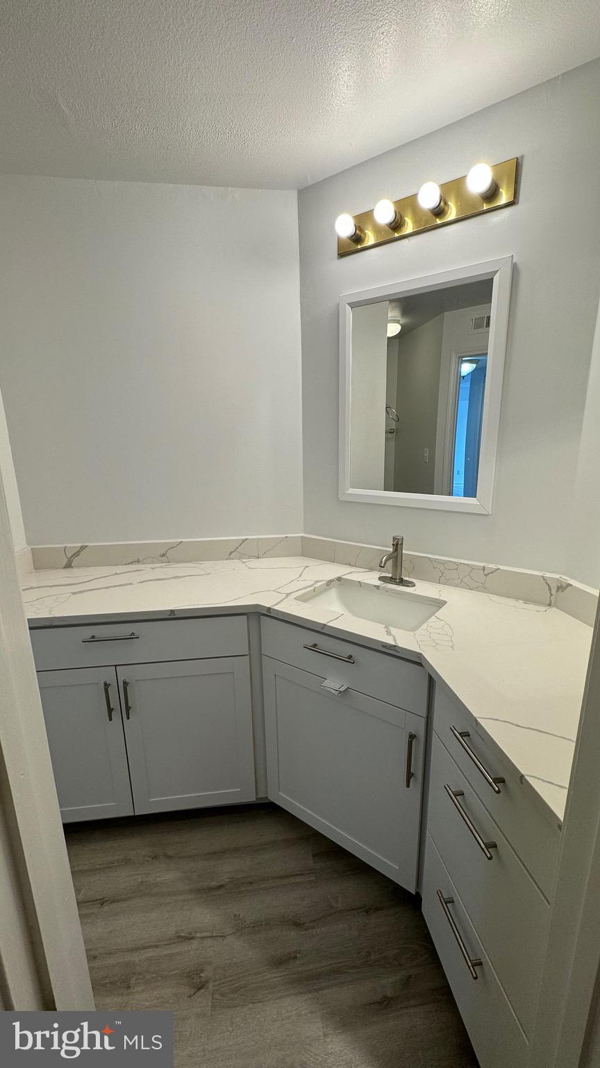 12151 Penderview Lane, Unit 2038 Fairfax, VA 22033 - Photo 8 of 20 Master bath
