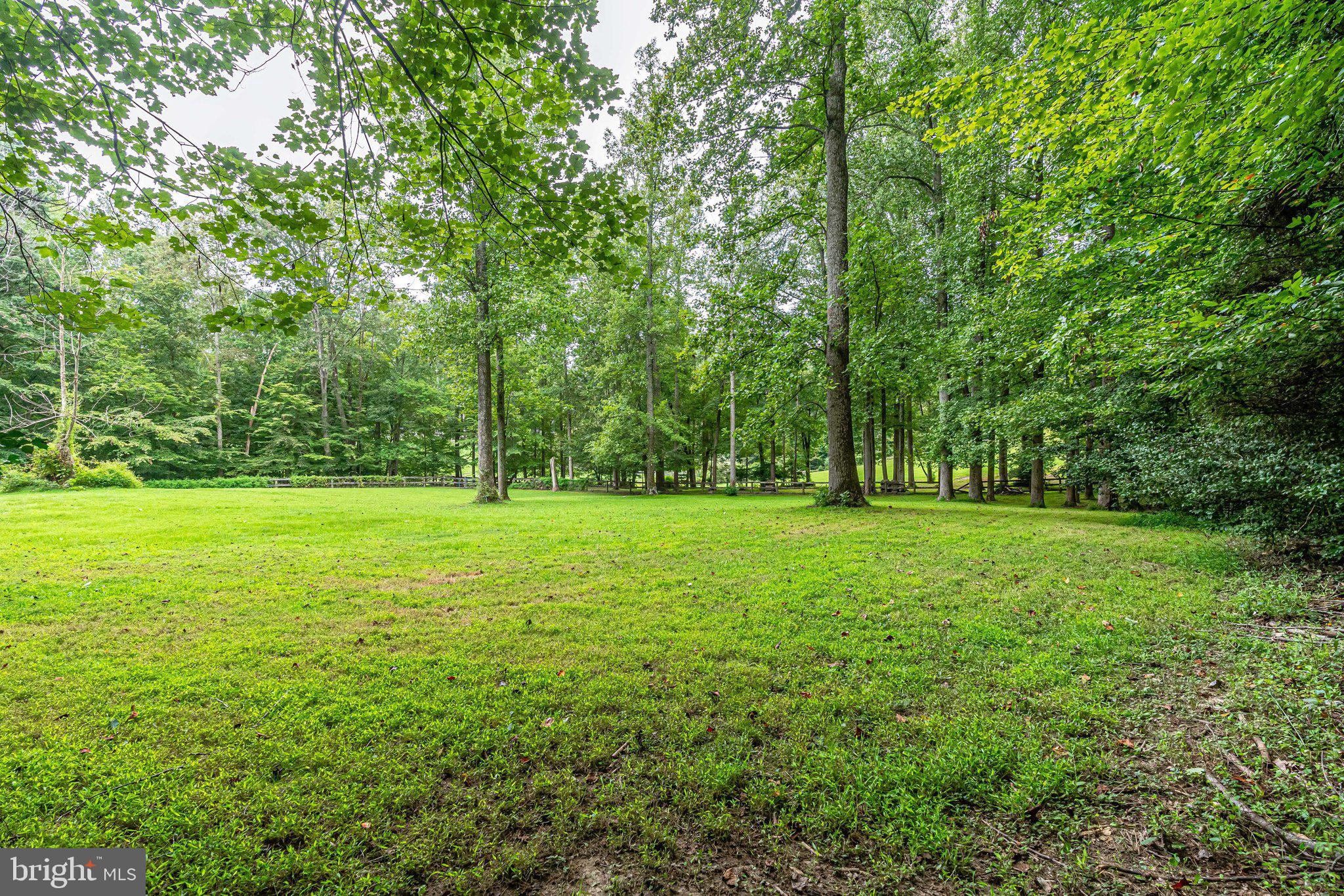 13221 Wates Spring Place Clifton, VA 20124 - Photo 50 of 68 One view of a pasture, have a football game!