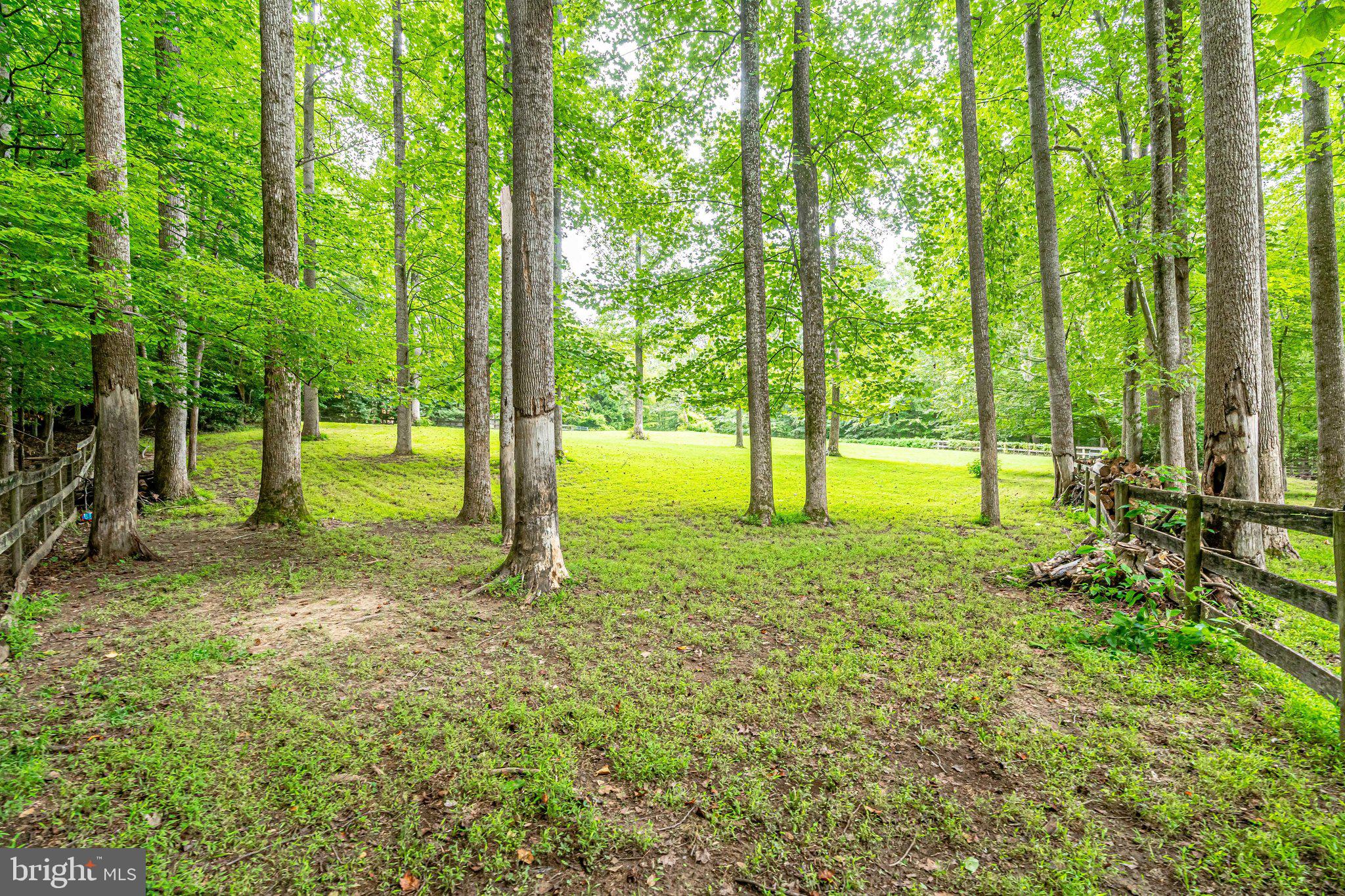 13221 Wates Spring Place Clifton, VA 20124 - Photo 51 of 68 Different view of same pasture
