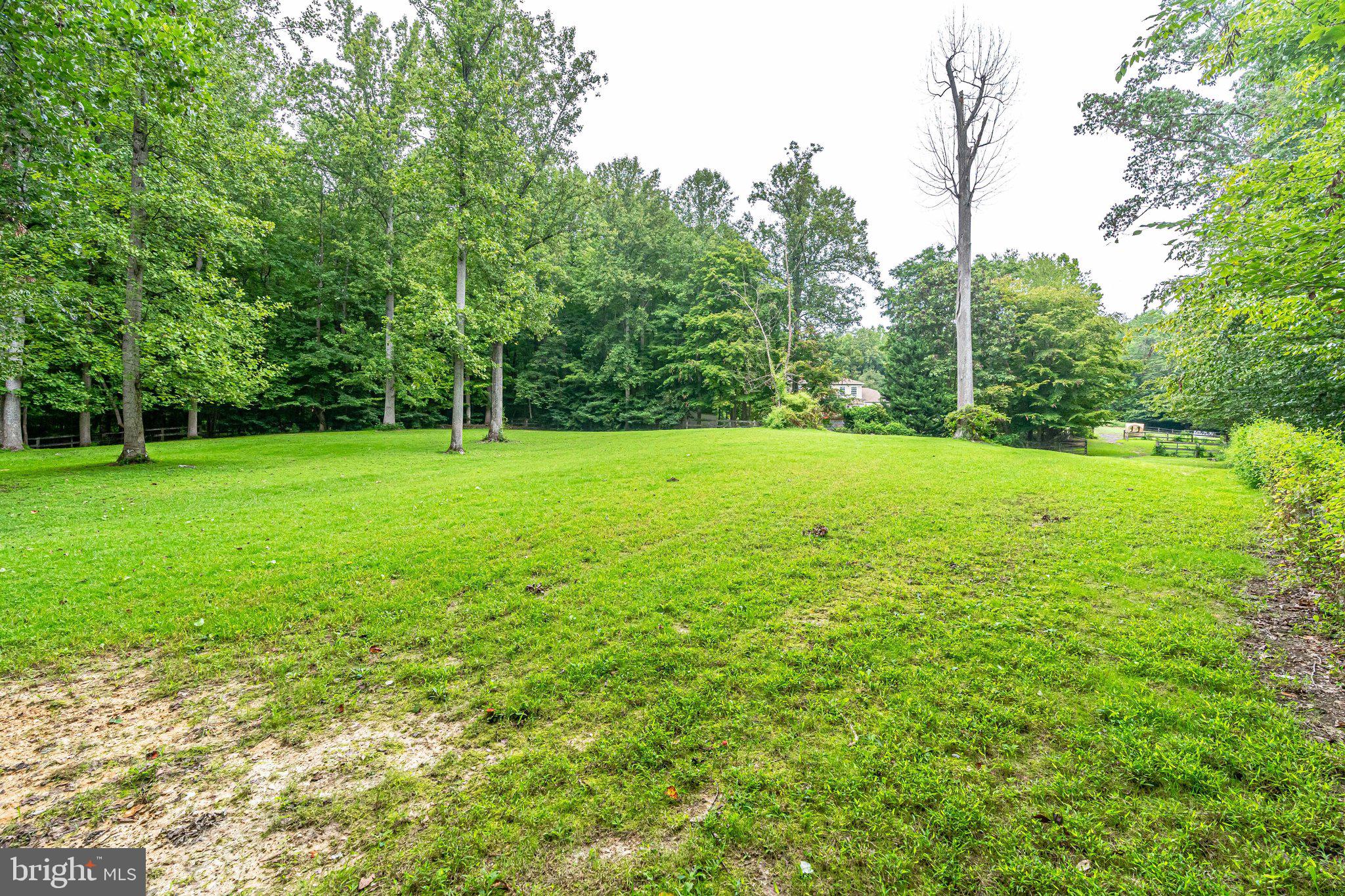 13221 Wates Spring Place Clifton, VA 20124 - Photo 52 of 68 More pastures!