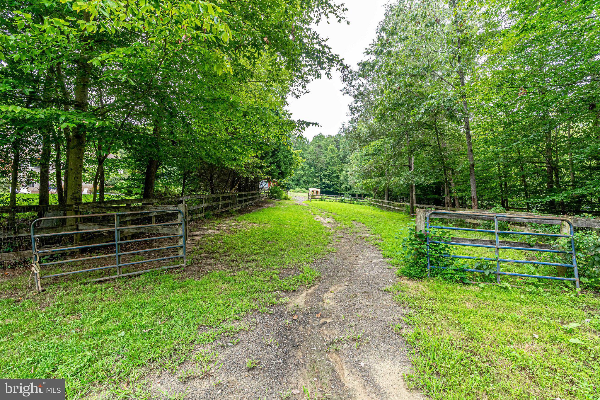 13221 Wates Spring Place Clifton, VA 20124 - Photo 54 of 68 View of one sacrifice field from pasture