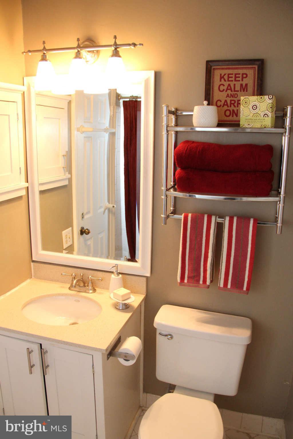 4823 27th Road South, Unit 2501 Arlington, VA 22206 - Photo 22 of 30 Bath (Master)