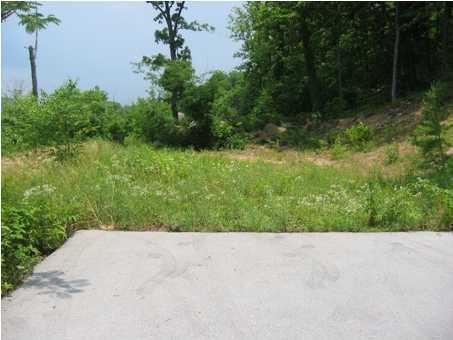 41 Sussex Road Dayton, TN 37321 - Photo 2 of 3 Additional Photo