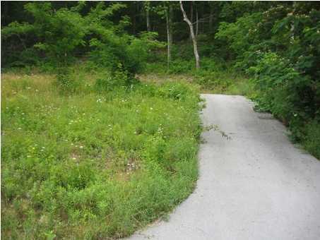 41 Sussex Road Dayton, TN 37321 - Photo 3 of 3 Additional Photo