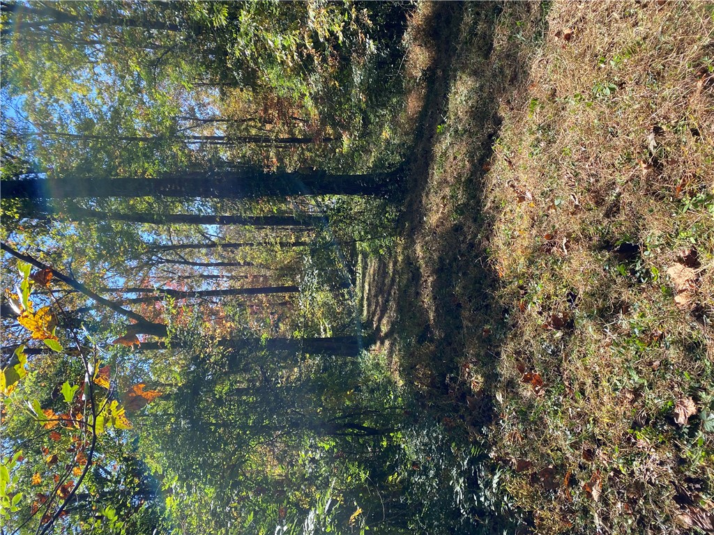 547 Pine Ridge Drive Westminster, SC 29693 - Photo 13 of 28 Gallery Image 13