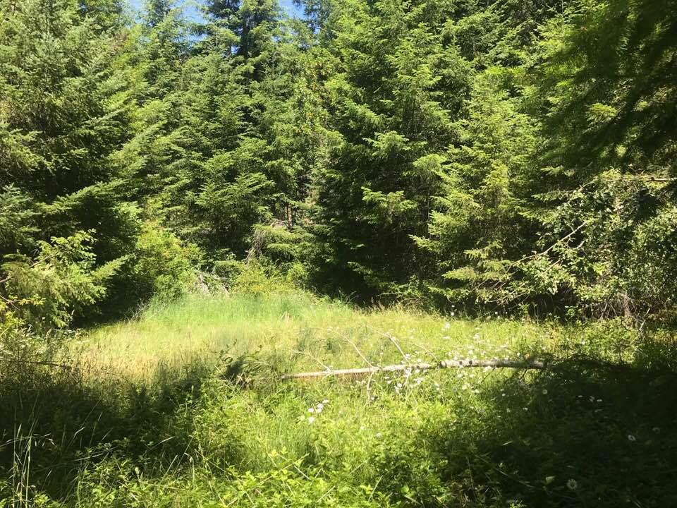 0 Dyerville Loop Road Redcrest, CA 95569 - Photo 3 of 11